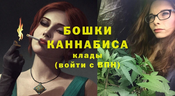 дурь Богородицк