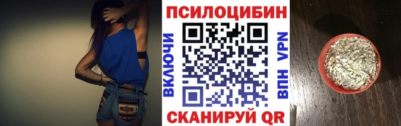 Купить закладки  Шимановск  Псилоцибиновые грибы ЛСД 